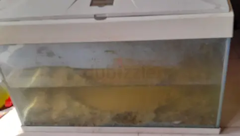 Aquarium tank with hood - Karama