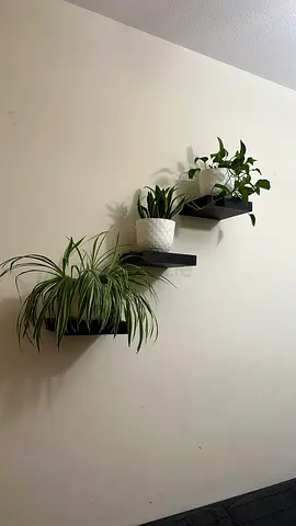 Small square shelf