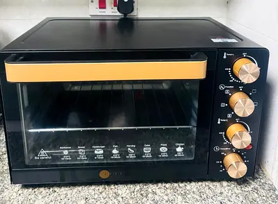 Electric oven