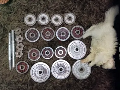 Dumbbells set 30 kg