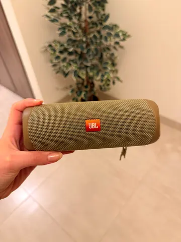 JBL Flip 5 Speaker