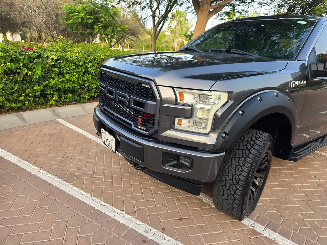 Ford F-150 2017 — photo 1 of 18