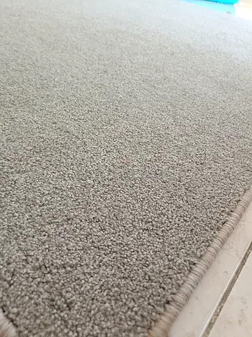 Light Beige/Grey Solid Carpet - Good Condition