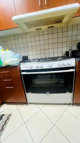 Stainless steel Gas Cooker 5-Burner, Gas Oven  Grill with Rotisserie, Wok Burner