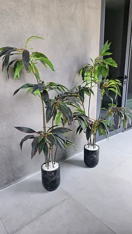 FREE - 2x Artificial Plants with Marble-style Pots – Must go