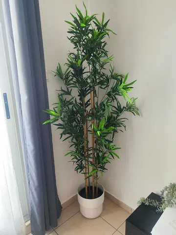 Ikea plant set with plant pot