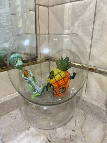 50 AED - Large Size Fish Bowl (Free Squidward and Pineapple House of Spongebob)