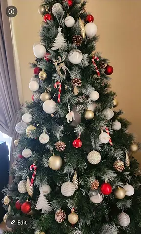 Christmas tree with decorations