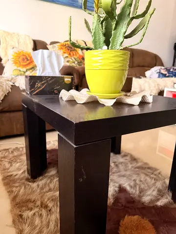 Modern Dark Massive Wood Side Table