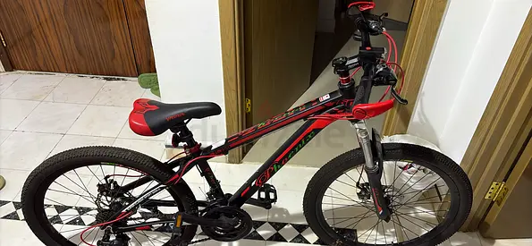 PHEONIX Carbon engineering bicycle with 10 speed gears BEST FOR TEENAGERS