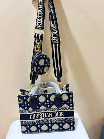 Christian dior bag