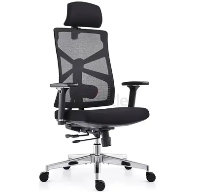 Ergonomic Mesh Office Chair with Headrest