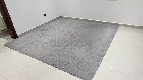Grey Carpet