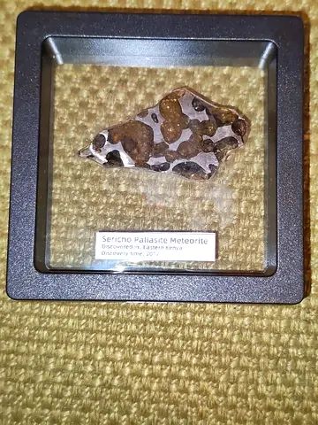 Sericho Pallasite Meteorite