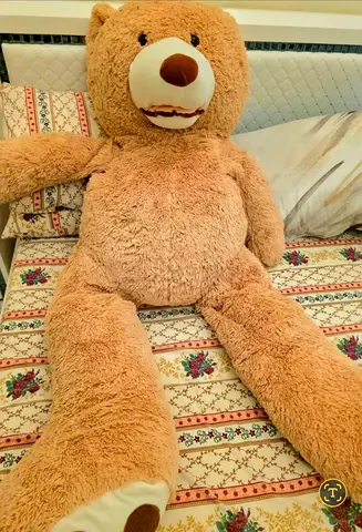 Big Teddy bear