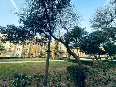ROOM AVILABLE IN DISCOVERY GARDEN