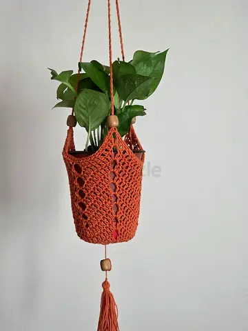 Boho Crochet Hanging Planter (Includes Live Plant  Pot)