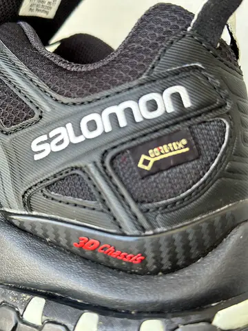 Salomon XA PRO 3D Gore-Tex, unisex Trail hiking Shoes, Waterproof, Offering Stability, Grip and Dura