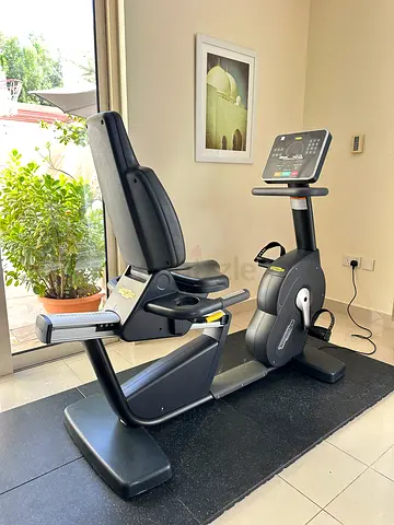 Technogym recumbent bike