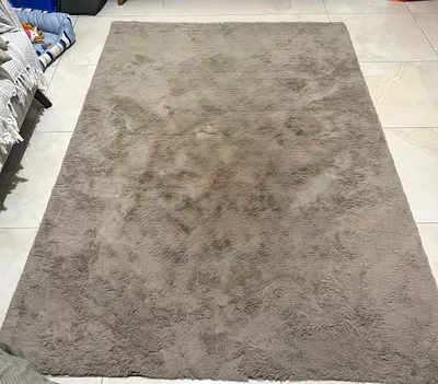 Soft Plush Taupe Area Rug - Large, Good Condition