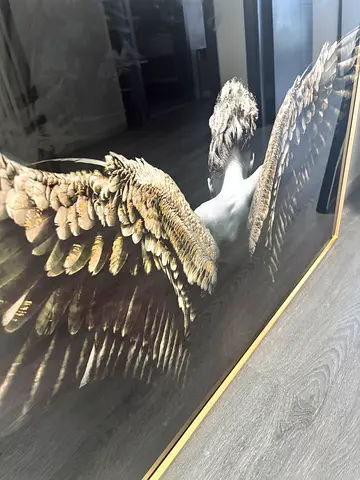 Framed Angel Wings Wall Art in Black  Gold