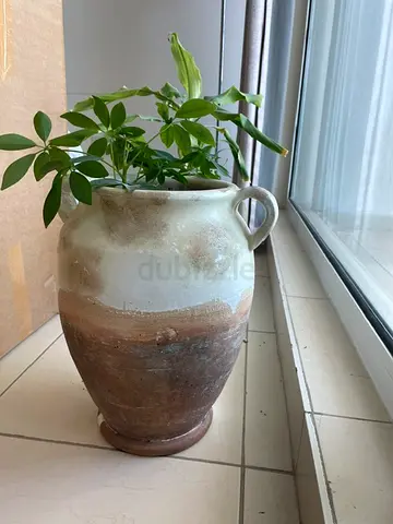 Ceramic Floor Vase with Real Plant - Ajman