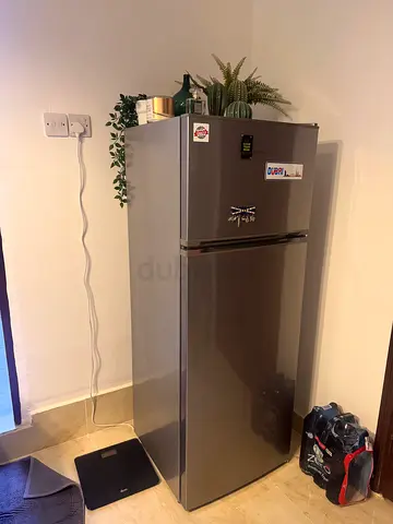 Sleek Silver Double Door Refrigerator