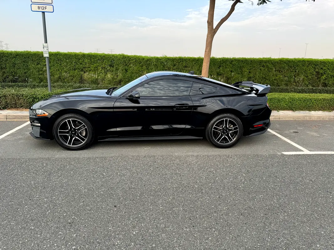 Ford Mustang 2022 — photo 1 of 10