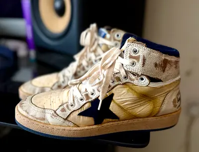Golden Goose