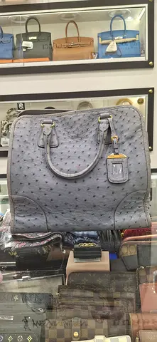 Grey Ostrich Leather Handbag