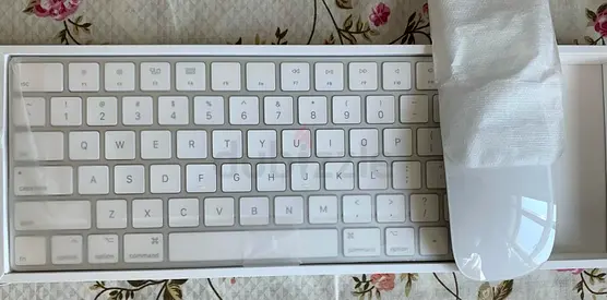 Apple Key Board  Mouse Set Original Brand New