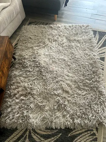 Soft Shaggy Beige Area Rug - Good Condition