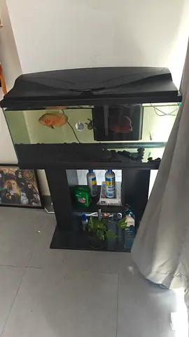 Aquarium 80cms with stand, filter, light, heater, oxygen pump, gravel