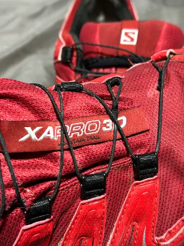 Hiking … Trail Running Shoes Salomon XA Pro 3D GTX Men Fiery Red color