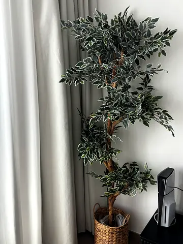 Indoor tree with basket decoration
