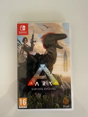 Nintendo game