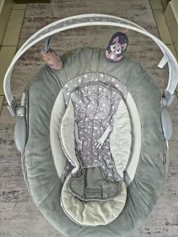Baby Bouncer