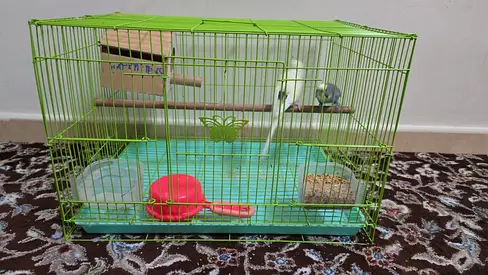 1 Used Small Bird Cage with Perches and Feeding Accessories