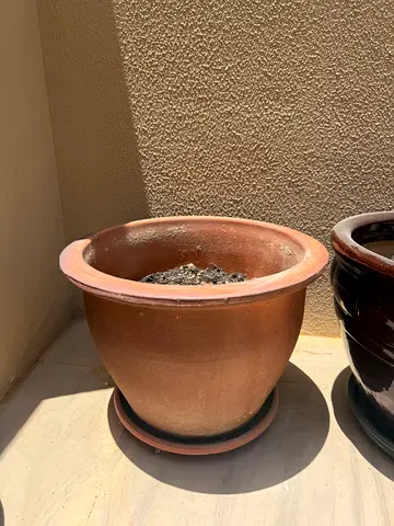 Big terracotta pot