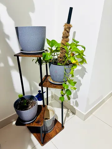 Urgent sale | excellent condition | 3 Tier wood Plant Stand