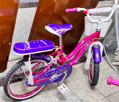 Girls Bicycle