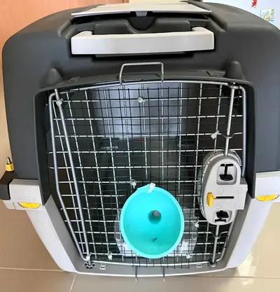 Chicken wired Cat carrier for IATA travel