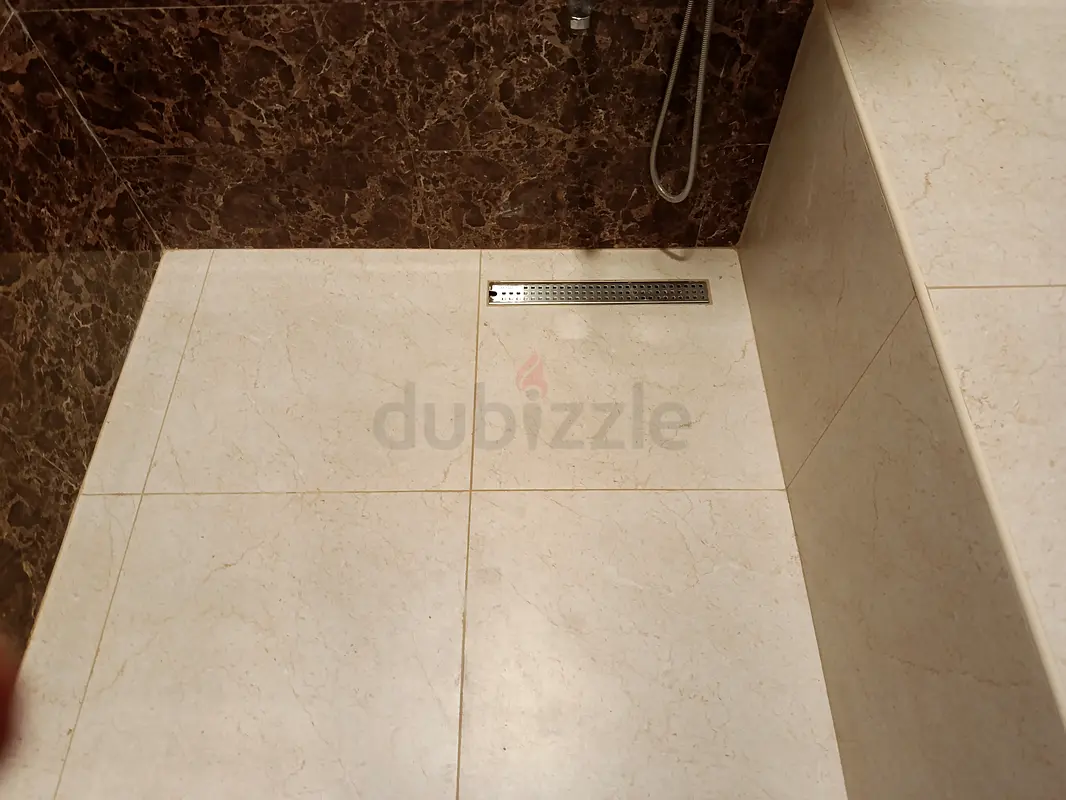 DPV_View_Image_2