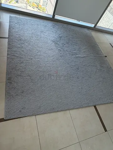 Carpet, Light grey solid area rug - 280 cm * 280 cm