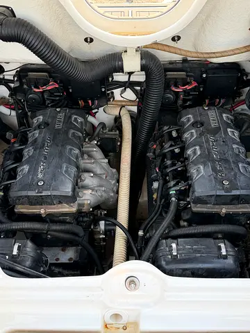 ابوظبي