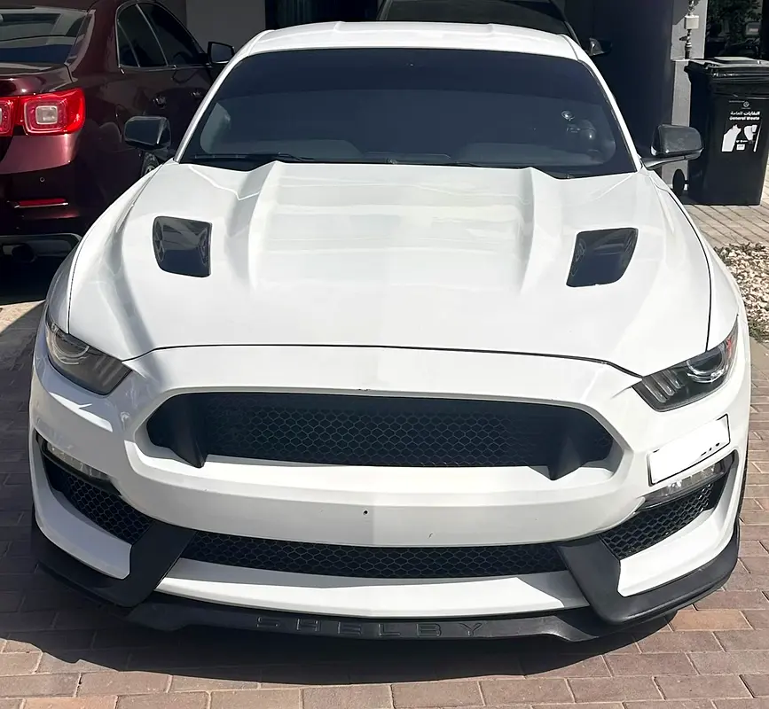 Ford Mustang 2016 — photo 1 of 5