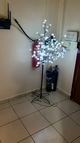 Light