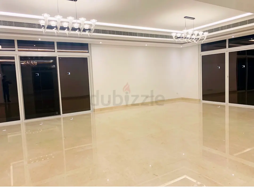 DPV_View_Image_2