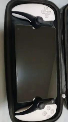 Playstation Portal