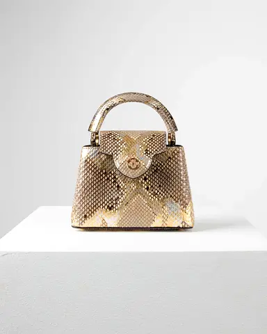 Authentic Louis Vuitton Capucine Bag